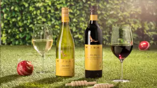 Wolf Blass wine pop-up ICC Cricket World Cup