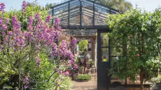 Petersham Nurseries