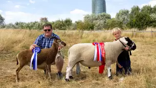 The Mudchute Agricultural Show