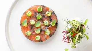 Orrery salmon