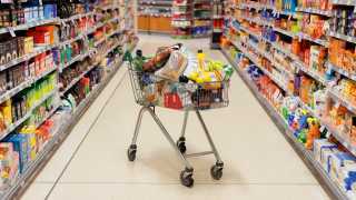 Supermarket shopping: a trolley full of food