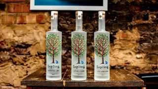 Win a case of Sapling Vodka worth £160