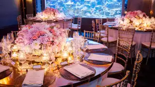Win two tickets to a Japanese supper club at Sexy Fish