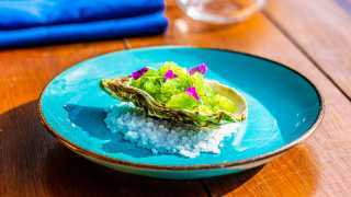 Moio, Clapton: restaurant review – fresh apple and sorrel granita topped Cumbrian oysters