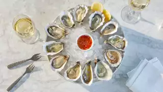 Oysters at Seabird