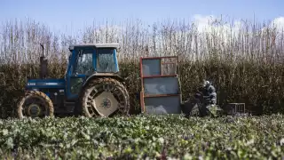 Riverford Farm