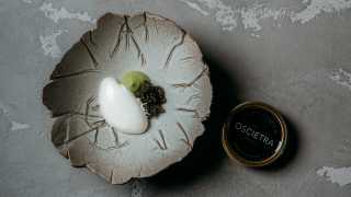 Avocado, burnt cream ice cream, oscietra caviar at Da Terra