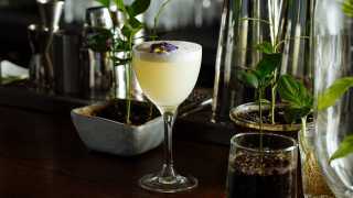 Cocktail omakase experience at Machiya Bar