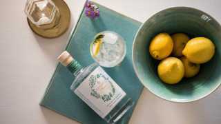 13 Best Non-Alcoholic Spirits: Ceder's Alt Gin