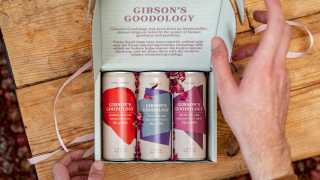 Gibson's Goodology pack