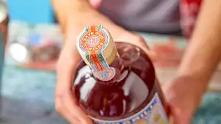 Hawksbill Save Our Turtle lid