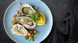 Finer Dining Company: oysters