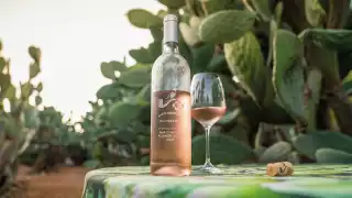 Babylonstoren Mourvèdre Rosé 2021