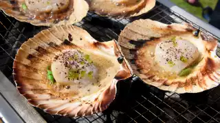 Sous Vide Kasai with scallops