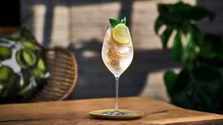 summer spritz recipes: Belvedere Organic Infusions refreshing lemon and basil spritz