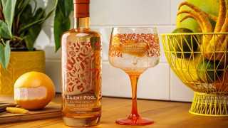 Silent Pool Rare Citrus gin recipes | the bottle and a coppa glass