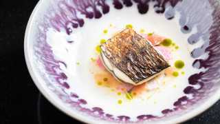 Fish course at Kitchen Table London