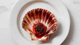 Scallop with nduja at Luca