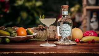 Canaima Bee Kind cocktail