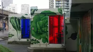 Vertical farming at Crate to Plate