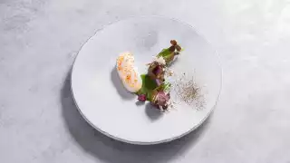 Turbot, sorrel, heritage radishes and almond from Alain Ducasse at The Dorchester