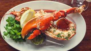 Darthmouth lobster with garlic butter