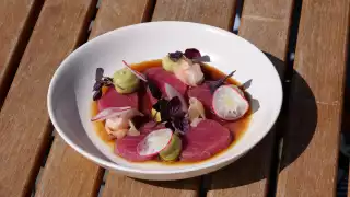 Tuna sashimi with whipped avocado, pickled ginger and truffled ponzu dressing