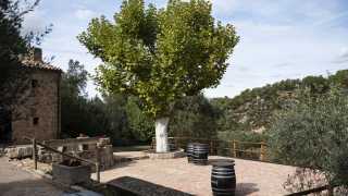 The sunny lunch terrace at Clos Pons nestled among the hills of Catalonia