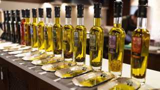 The huge range of olive oils produced at Clos Pons