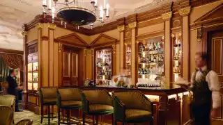 The Library Bar at The Lanesborough