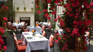 Al fresco dining at The Garden