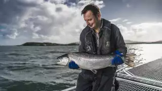 A salmon on display in Loch Duart