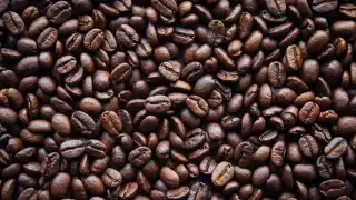 Coffee beans are considered to be some of the world’s most complex natural products
