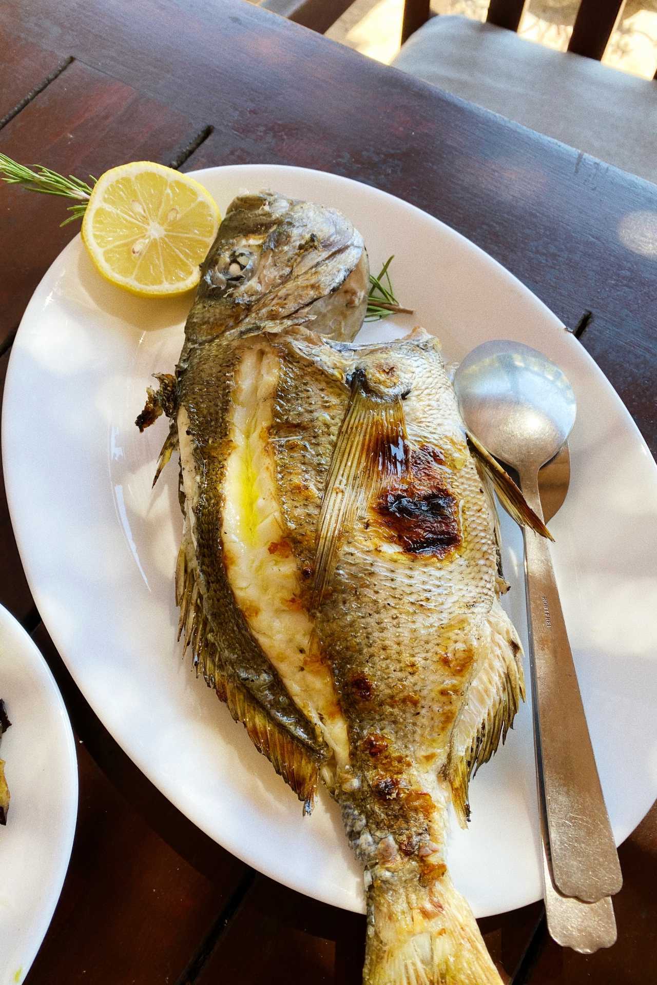 Grilled fish at Konoba Dionis in the Pakleni Islands