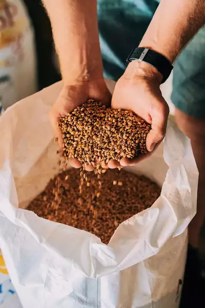 Malt at Hackney Church Brew Co