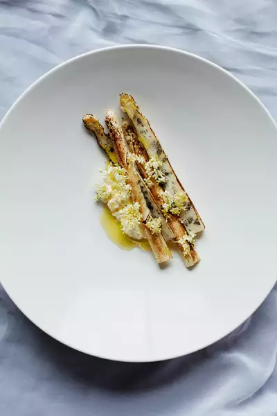 BBQ white asparagus, fresh goat's curd and elderflower oil