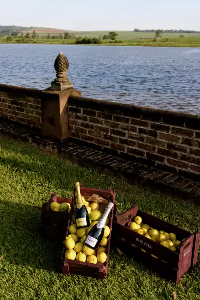 Krug Champagne
