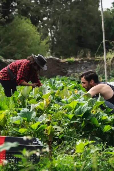 Pierre-Louis Gu&eacute;rin and Samia Gharet tend the organic kitchen garden at La Morinais