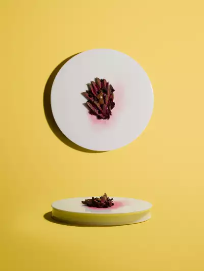James Knappett, Kitchen Table, Duck hearts, damson, burnt cream