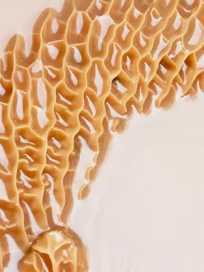 Tripe