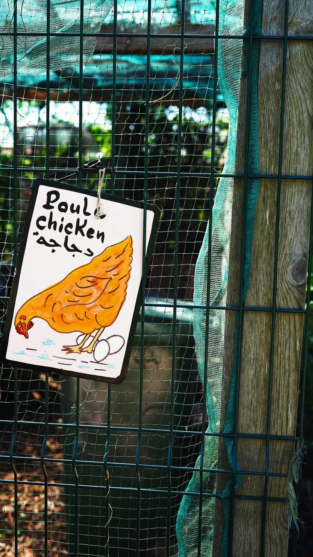 The chicken coop at Glengall Wharf Garden