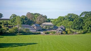 Coombeshead is a new farm in Cornwall from Tom Adams and April Bloomfield
