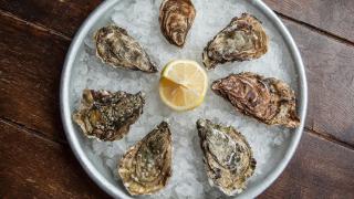 Oysters at Wright Bros