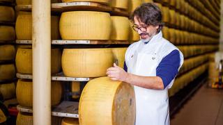 Damiano Delfante inspects one of his wheels of parmesan