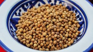 Coriander seeds used in Bombay Sapphire gin