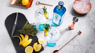Gin and tonic with garnish, Bombay Sapphire