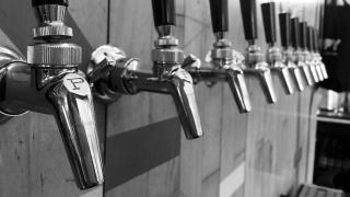 Taps at Canopy Beer Co brewery and taproom in Herne Hill, London
