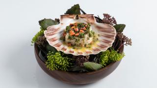Isle of Mull scallop cooked over wood