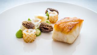 Newlyn cod, new seasons garlic, Turkish morels, line-caught squid