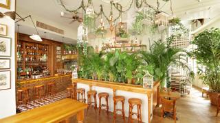 Best Fitzrovia restaurants: Mr Fogg's House of Botanicals